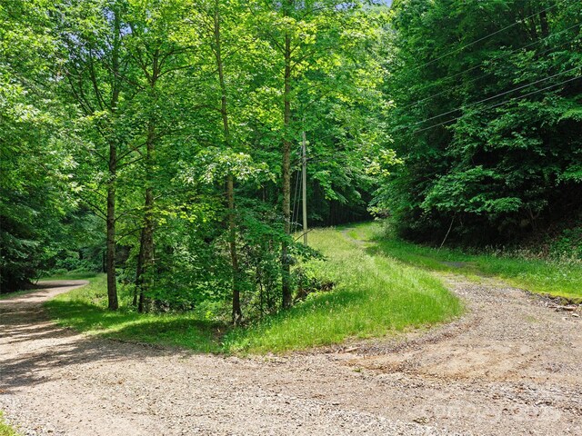 2TBD Lotties Creek Rd Unit 19, 20, 23, 25, 26, 27, Burnsville, NC 28714 - photo 9