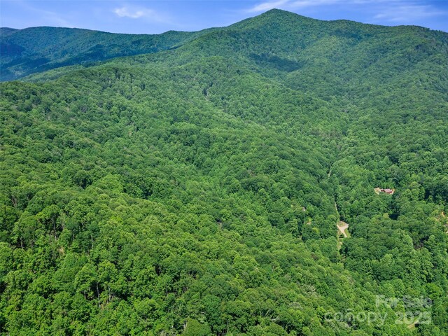2TBD Lotties Creek Rd Unit 19, 20, 23, 25, 26, 27, Burnsville, NC 28714 - photo 12