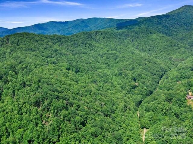 2TBD Lotties Creek Rd Unit 19, 20, 23, 25, 26, 27, Burnsville, NC 28714 - photo 13