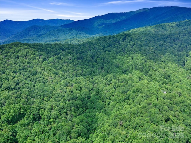 2TBD Lotties Creek Rd Unit 19, 20, 23, 25, 26, 27, Burnsville, NC 28714 - photo 14