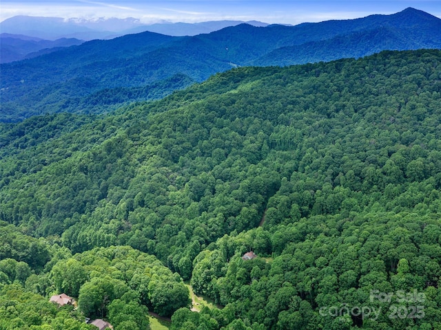 2TBD Lotties Creek Rd Unit 19, 20, 23, 25, 26, 27, Burnsville, NC 28714 - photo 15