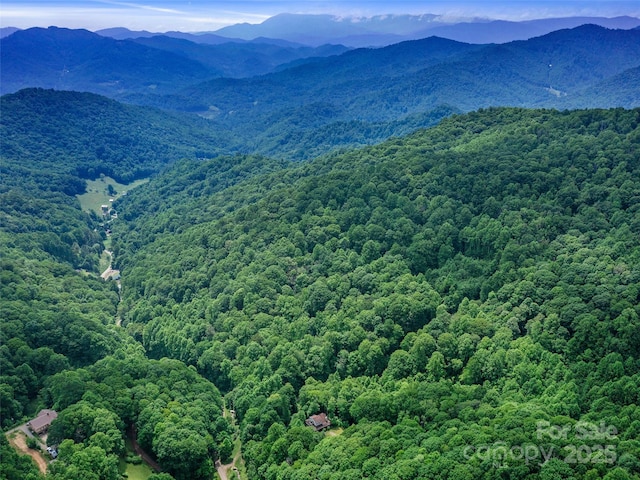 2TBD Lotties Creek Rd Unit 19, 20, 23, 25, 26, 27, Burnsville, NC 28714 - photo 16