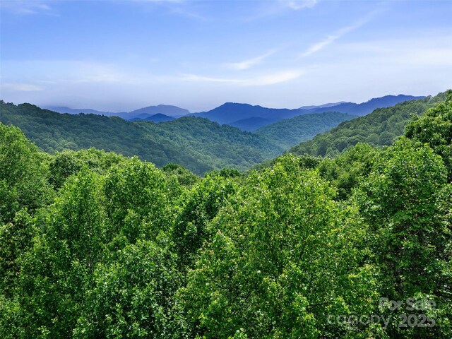 2TBD Lotties Creek Rd Unit 19, 20, 23, 25, 26, 27, Burnsville, NC 28714 - photo 18
