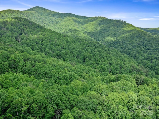 2TBD Lotties Creek Rd Unit 19, 20, 23, 25, 26, 27, Burnsville, NC 28714 - photo 19