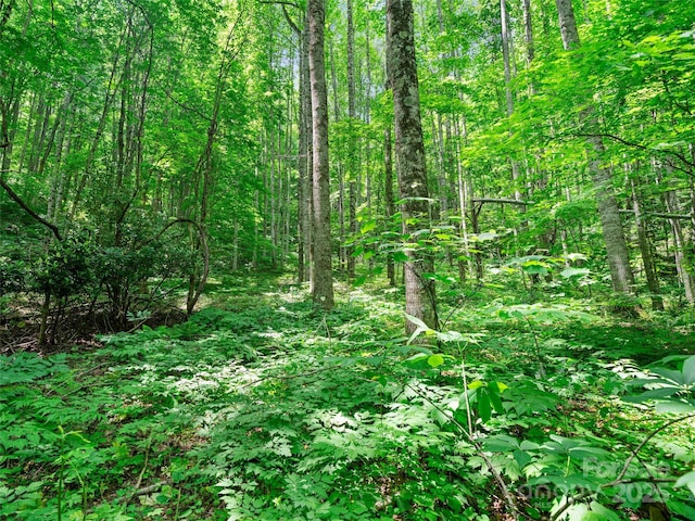 2TBD Lotties Creek Rd Unit 19, 20, 23, 25, 26, 27, Burnsville, NC 28714 - photo 1