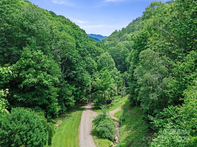 2TBD Lotties Creek Rd Unit 19, 20, 23, 25, 26, 27, Burnsville, NC 28714 - photo 2