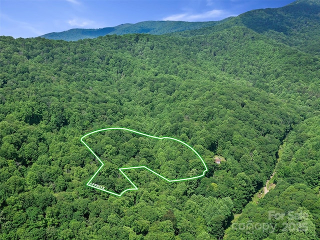 2TBD Lotties Creek Rd Unit 19, 20, 23, 25, 26, 27, Burnsville, NC 28714 - photo 3