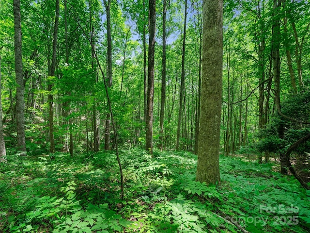 2TBD Lotties Creek Rd Unit 19, 20, 23, 25, 26, 27, Burnsville, NC 28714 - photo 4