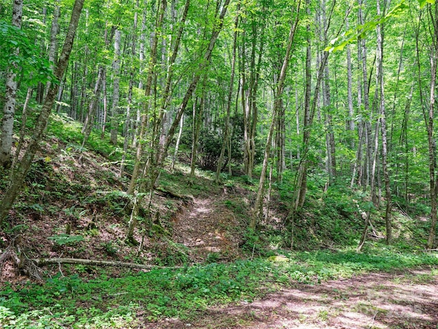 2TBD Lotties Creek Rd Unit 19, 20, 23, 25, 26, 27, Burnsville, NC 28714 - photo 5