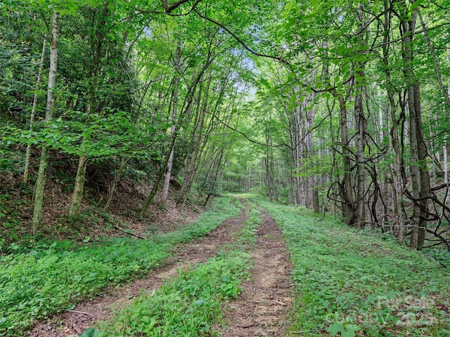 2TBD Lotties Creek Rd Unit 19, 20, 23, 25, 26, 27, Burnsville, NC 28714 - photo 6