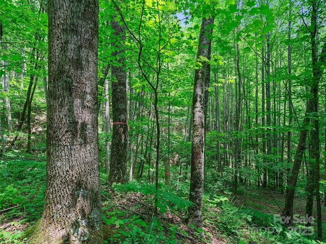 2TBD Lotties Creek Rd Unit 19, 20, 23, 25, 26, 27, Burnsville, NC 28714 - photo 7
