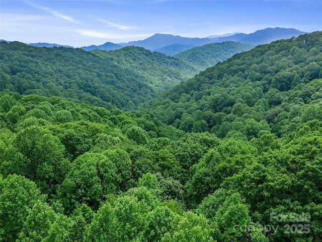 2TBD Lotties Creek Rd Unit 19, 20, 23, 25, 26, 27, Burnsville, NC 28714 - photo 8