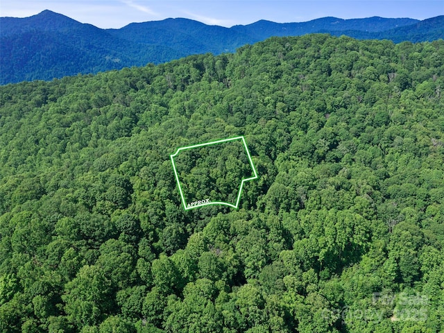 3TBD Lotties Creek Rd Unit 37, 42, Burnsville, NC 28714 - photo 2