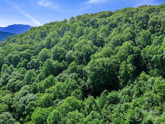 3TBD Lotties Creek Rd Unit 37, 42, Burnsville, NC 28714 - photo 8