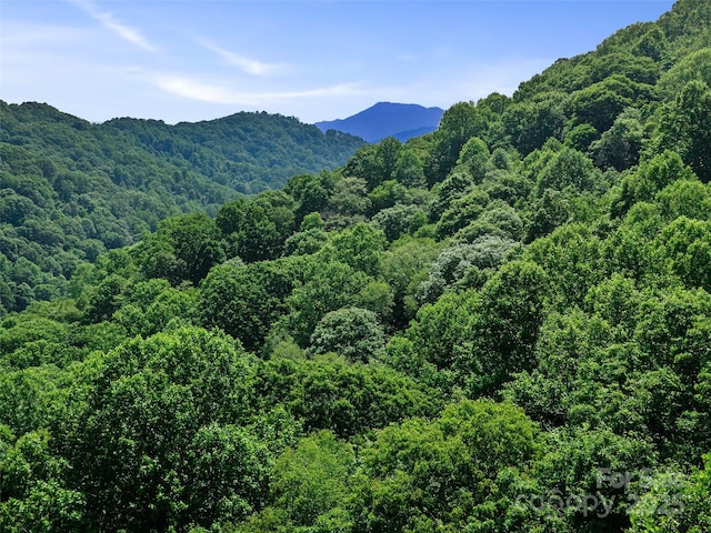 3TBD Lotties Creek Rd Unit 37, 42, Burnsville, NC 28714 - photo 15