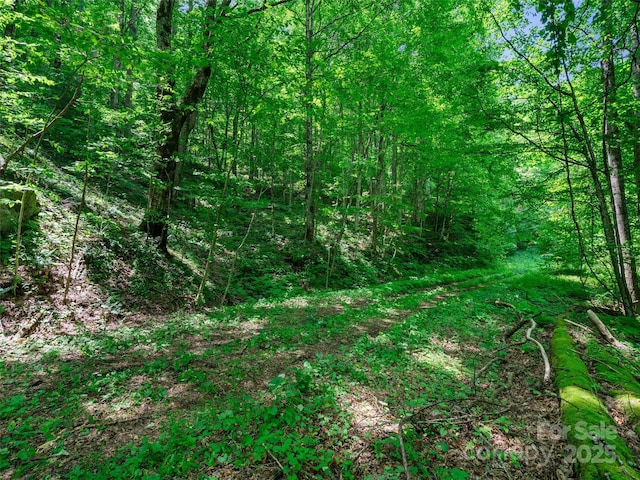 3TBD Lotties Creek Rd Unit 37, 42, Burnsville, NC 28714 - photo 1