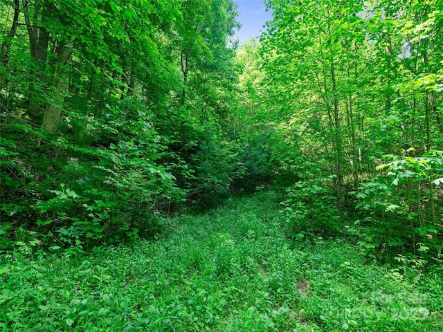 3TBD Lotties Creek Rd Unit 37, 42, Burnsville, NC 28714 - photo 10