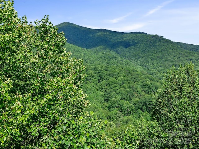3TBD Lotties Creek Rd Unit 37, 42, Burnsville, NC 28714 - photo 14