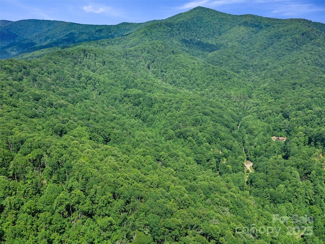 3TBD Lotties Creek Rd Unit 37, 42, Burnsville, NC 28714 - photo 16