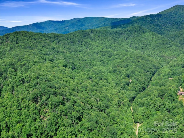 3TBD Lotties Creek Rd Unit 37, 42, Burnsville, NC 28714 - photo 17