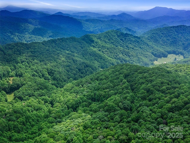 3TBD Lotties Creek Rd Unit 37, 42, Burnsville, NC 28714 - photo 20