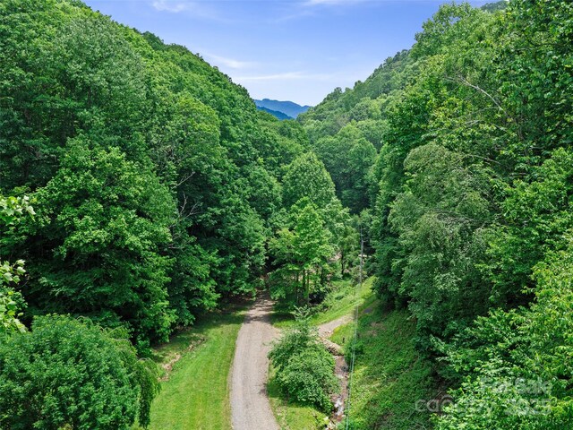 3TBD Lotties Creek Rd Unit 37, 42, Burnsville, NC 28714 - photo 6