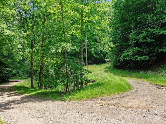 3TBD Lotties Creek Rd Unit 37, 42, Burnsville, NC 28714 - photo 5
