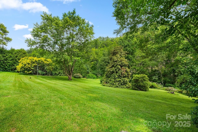 2428 Hamburg Rd, Mars Hill, NC 28754 - view of grassy yard