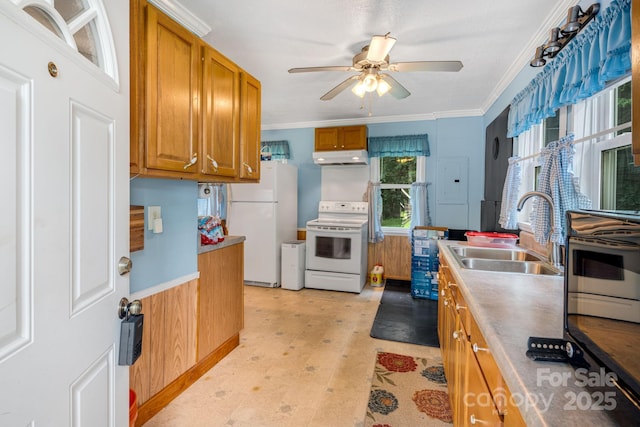 2428 Hamburg Rd, Mars Hill, NC 28754 - kitchen with white appliances, brown cabinets, a ceiling fan, ornamental molding, and under cabinet range hood