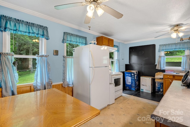 2428 Hamburg Rd, Mars Hill, NC 28754 - kitchen featuring white appliances, ceiling fan, plenty of natural light, brown cabinets, and crown molding