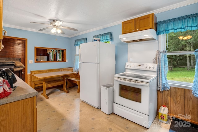 2428 Hamburg Rd, Mars Hill, NC 28754 - kitchen with under cabinet range hood, white appliances, healthy amount of natural light, ceiling fan, and ornamental molding