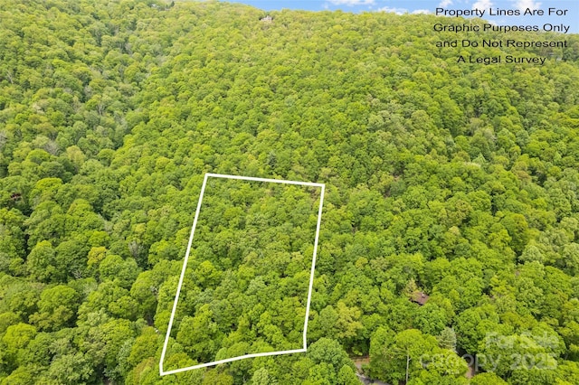 LOT4 Skyline Dr, Waynesville, NC 28786 - photo 1