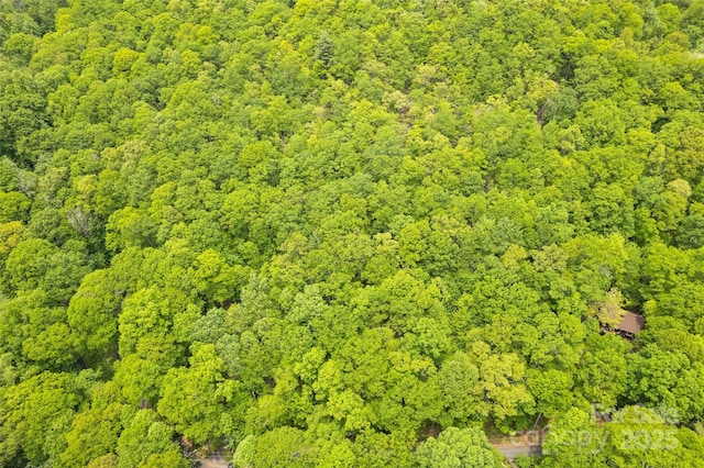 LOT4 Skyline Dr, Waynesville, NC 28786 - photo 2