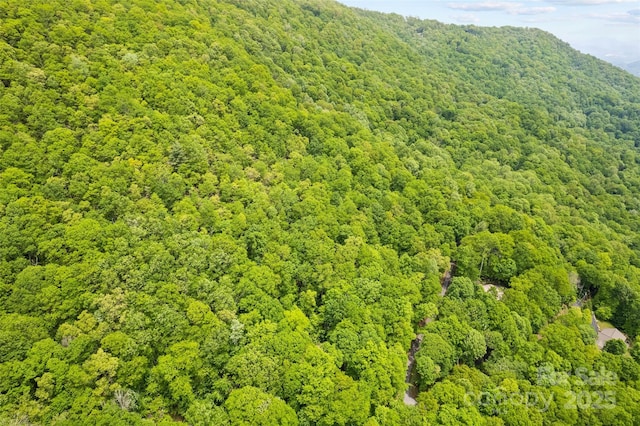 LOT4 Skyline Dr, Waynesville, NC 28786 - photo 3