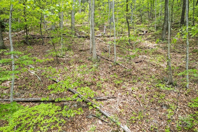 LOT4 Skyline Dr, Waynesville, NC 28786 - photo 4