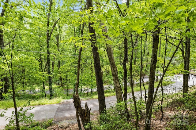 LOT4 Skyline Dr, Waynesville, NC 28786 - photo 5