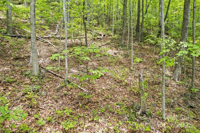 LOT4 Skyline Dr, Waynesville, NC 28786 - photo 6