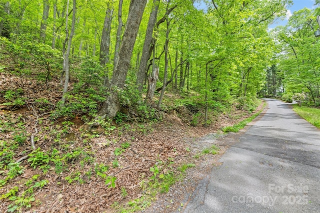 LOT4 Skyline Dr, Waynesville, NC 28786 - photo 7