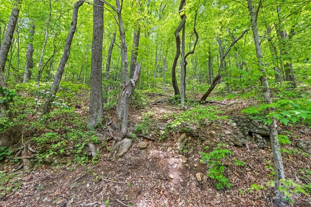 LOT4 Skyline Dr, Waynesville, NC 28786 - photo 8