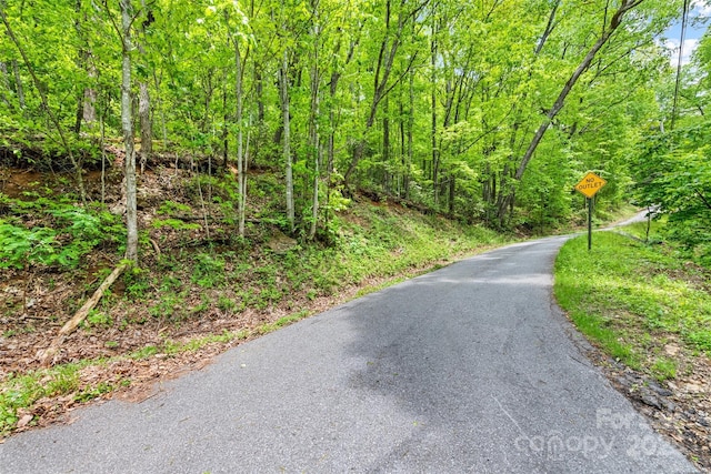 LOT4 Skyline Dr, Waynesville, NC 28786 - photo 9