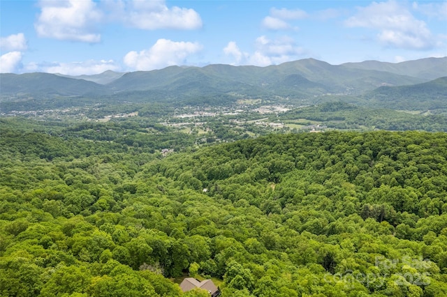 LOT4 Skyline Dr, Waynesville, NC 28786 - photo 10