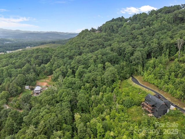 W12 Curtain Blf, Hendersonville, NC 28791 - drone / aerial view of a forest and a mountain backdrop