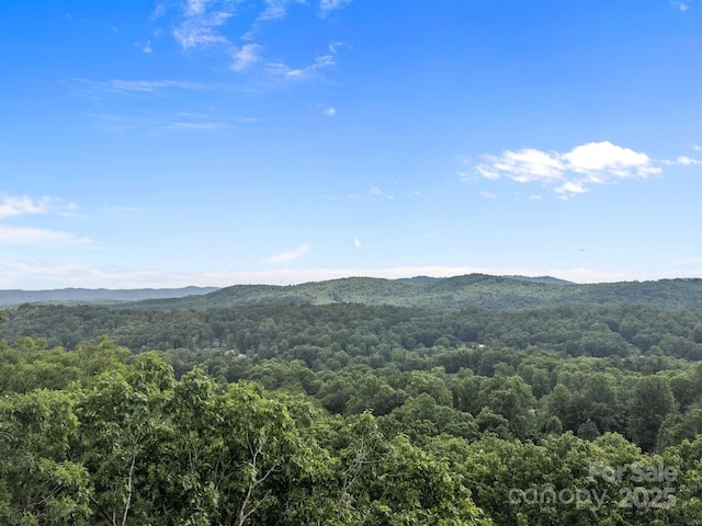W12 Curtain Blf, Hendersonville, NC 28791 - view of mountain backdrop with a heavily wooded area
