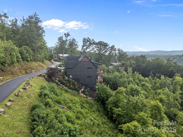 W12 Curtain Blf, Hendersonville, NC 28791 - view of subject property featuring a heavily wooded area
