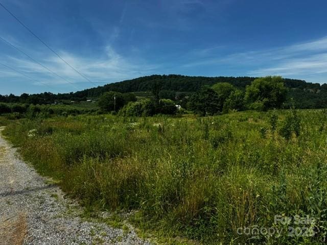 527 Laughter Rd Unit 1, Hendersonville, NC 28792
