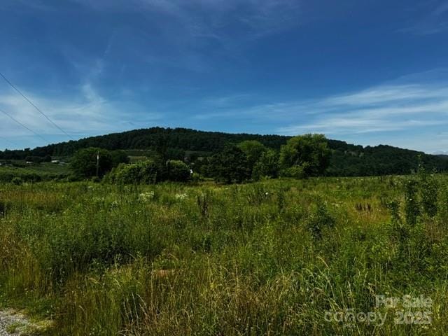 527 Laughter Rd Unit 1, Hendersonville, NC 28792