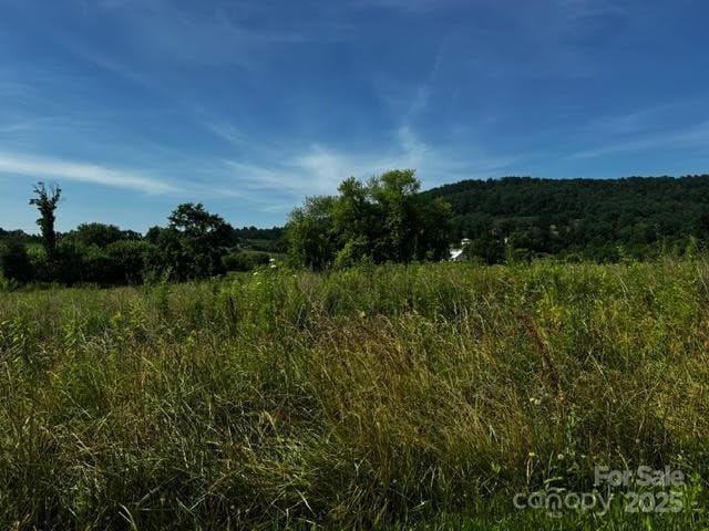 527 Laughter Rd Unit 1, Hendersonville, NC 28792