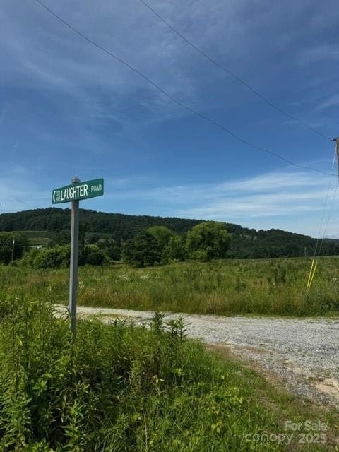 527 Laughter Rd Unit 1, Hendersonville, NC 28792