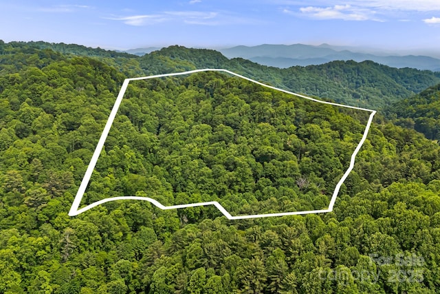 1980 Old Murray Rd, Mars Hill, NC 28754 - aerial overview of property's location featuring a forest and property boundaries highlighted