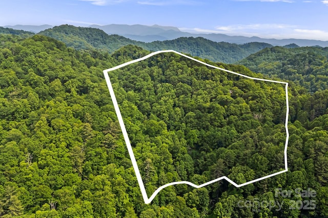 1980 Old Murray Rd, Mars Hill, NC 28754 - aerial view of property and surrounding area featuring property boundaries highlighted